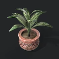 Indoor Green Leaf Plant in Brown Ceramic Pot with Geometric Patterns 3d model