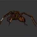 Rusty Metallic Spider Sculpture With Long Legs On Smooth Gray Background 3d model