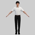 Realistic Men Young Staff White-collar Handsome Short-sleeved Shirt Walking cs Skeleton Binding skin Skin Animation 3d model