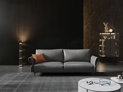 Grey Two Seater Sofa With Orange Cushion White Round Coffee Table Floor Lamp And Rug 3d model