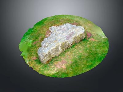Natural Wood and Stone Elements Placed on Lush Green Grass Surface 3d model