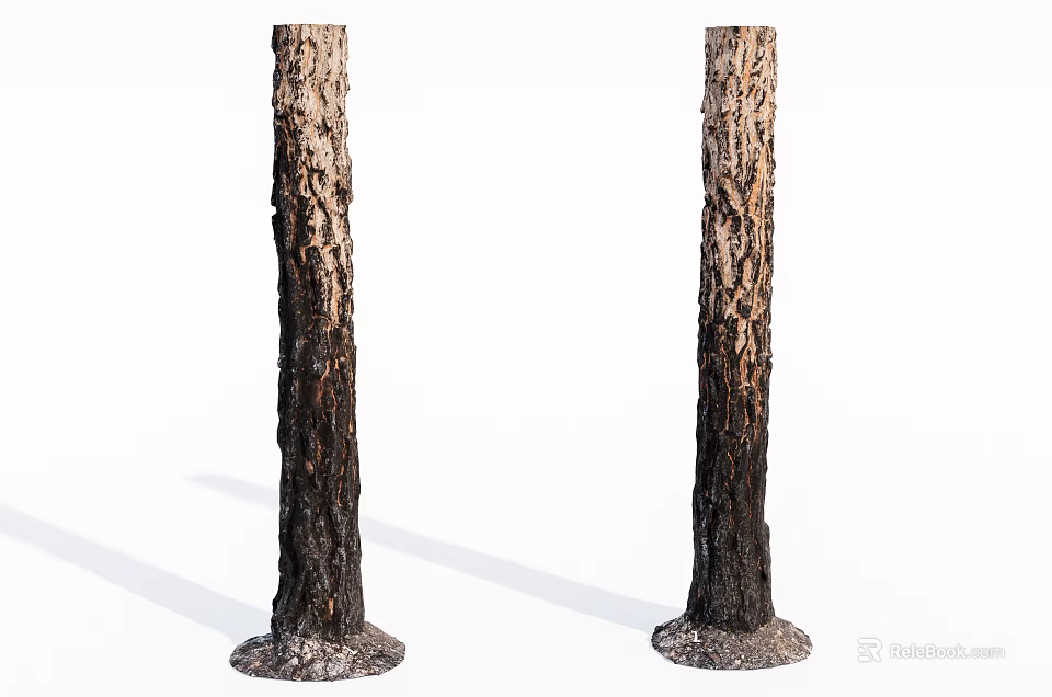 Two Arbor Tree Trunks With Natural Bark Texture On White Background 3d model