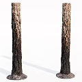 Two Arbor Tree Trunks With Natural Bark Texture On White Background 3d model