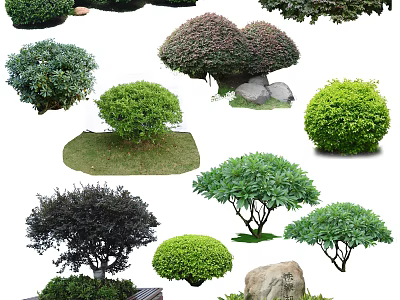 Various Types Of Garden Trees With Green Foliage Shrubbery And Decorative Stones 3d model