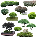 Various Types Of Garden Trees With Green Foliage Shrubbery And Decorative Stones