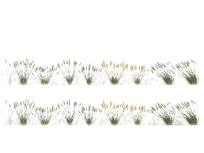 Various Ornamental Grasses And Flowering Plants With Green Yellow Hues For Garden Decoration 3d model