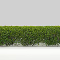 Pruned Green Garden Shrubs with Round and Rectangular Shapes for Landscaping 3d model