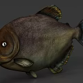 Realistic Large Freshwater Fish With Sharp Teeth Brown Green Body Prominent Eyes And Fins