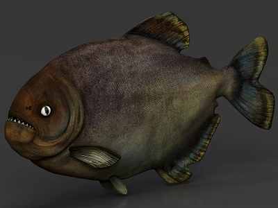 Realistic Large Freshwater Fish With Sharp Teeth Brown Green Body Prominent Eyes And Fins 3d model