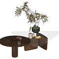 Minimalist Modern Wooden Coffee Table With Bamboo Plant Ceramic Vase And Decorative Items