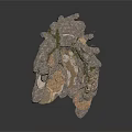 Natural Cave Interior With Rock Formations Stone Walls Moss And Pathway