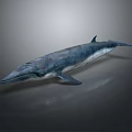 Detailed Realistic 3D Rendered Whale on Dark Background with Subtle Reflection