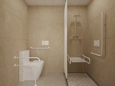 Modern Barrier Free Bathroom With Safety Grab Bars Anti Slip Tiles And Separate Shower Area 3d model