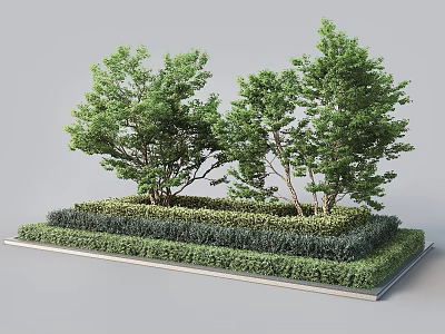 Arbor Trees With Neatly Trimmed Hedges In Layered Garden Platform 3d model