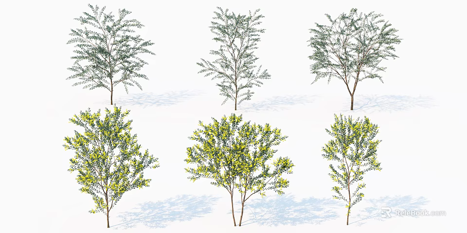 Various Arbor Trees With Green And Yellow Foliage Single Multiple Trunks 3d model