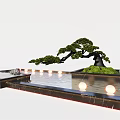 Garden Miniature Landscape With Bonsai Tree Pond Stones And Illuminated Lights