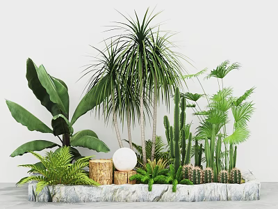 Lush Plant Combination With Tropical Palm Cactus Fern Succulents In Stone Planter And White Sphere 3d model