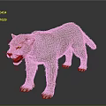 Snow Leopard 3D Model with White Fur and Black Spots Open Mouth on Black Background