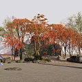 Garden Trees with Red Orange Leaves Stone Sand Ground and People in Traditional Clothing