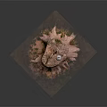 Natural Wooden Tree Stump With White Lantern Fallen Leaves And Grass