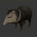 Realistic 3D Rendered Wild Boar Model With Detailed Fur And Standing Pose 3d model