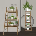 Indoor Potted Greenery Display On Wooden Multi Layer Plant Stands With Various Plants