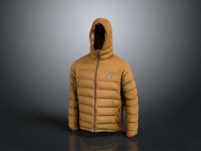 Warm Brown Hooded Down Jacket With Zipper And Casual Style For Daily Wear 3d model