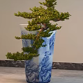 Bonsai Plant With Curved Branches And Lush Green Foliage In Blue And White Ceramic Pot