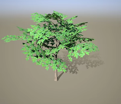 Single Deciduous Tree With Lush Vibrant Green Foliage And Natural Growth Shape 3d model