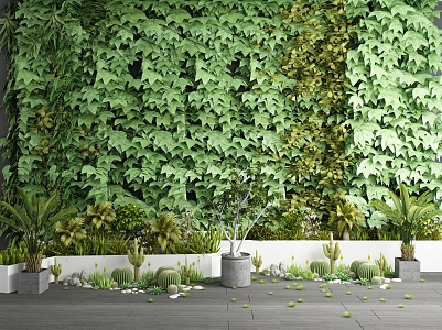 Modern Plant Green Plant Background Wall Potted Flower Pond Combination 3d model