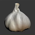 Fresh Whole Garlic Vegetable Bulb with Natural Layers on Dark Gray Background