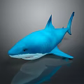 Realistic Blue Shark 3D Model With Detailed Features On Black Background 3d model