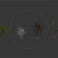 Various Tree Scenery Components with Different Foliage and Branch Structures 3d model