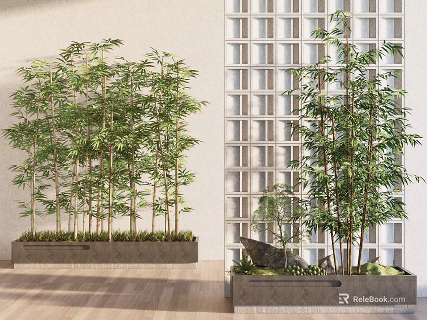 Indoor Bamboo Plants In Concrete Planters With Wooden Floor And Grid Window Background 3d model 