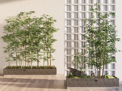 Indoor Bamboo Plants In Concrete Planters With Wooden Floor And Grid Window Background 3d model