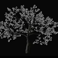 Snow Covered Tree with White Snow on Branches and Trunk Casting Shadow on White Background 3d model