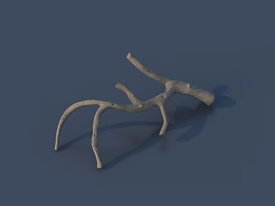 Natural Stone Wood Branch Object With Curved Twigs On Gray Background 3d model