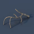 Natural Stone Wood Branch Object With Curved Twigs On Gray Background