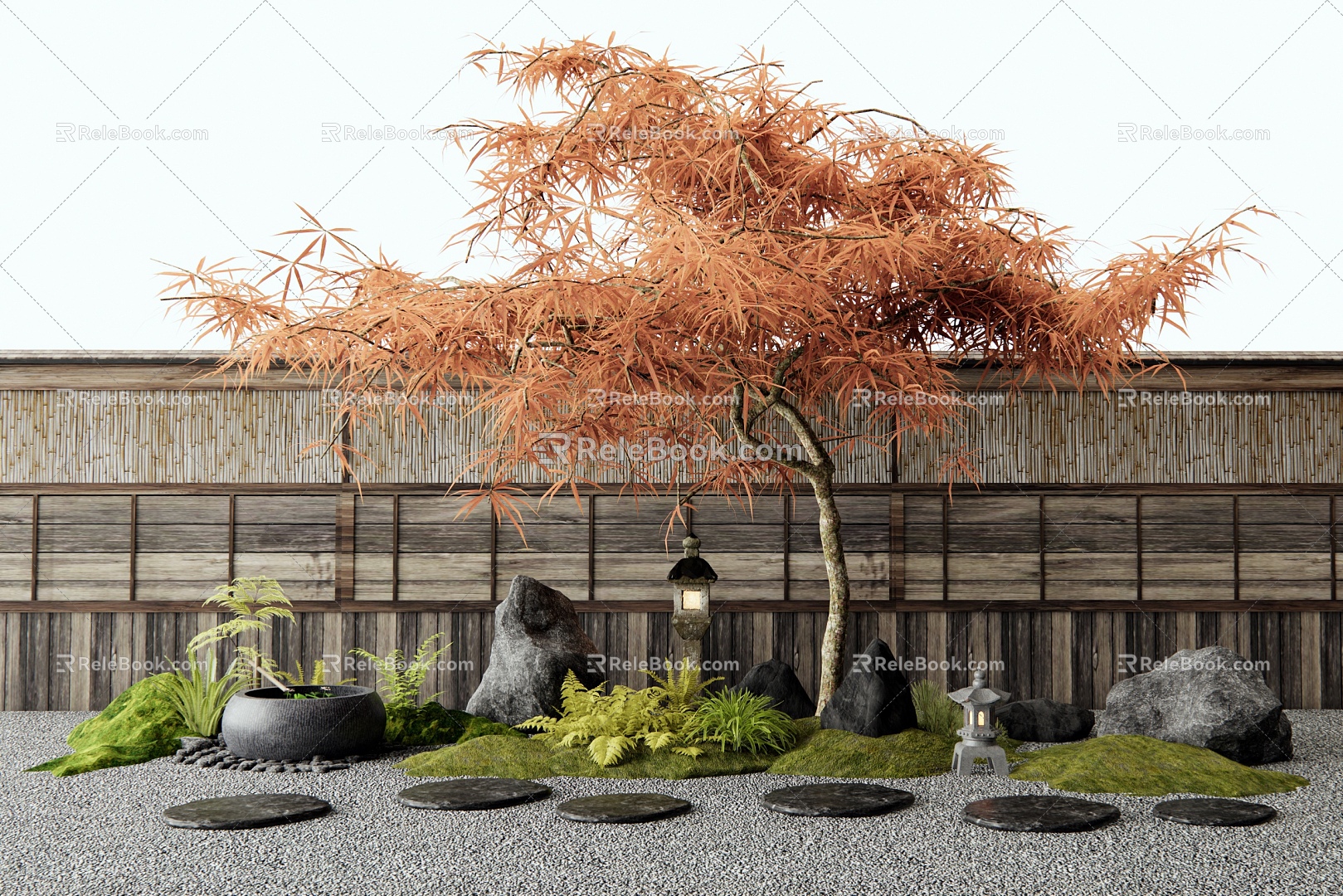 Japanese-style feather maple red maple tree landscape tree courtyard landscape sketch water pot tingbu plant landscape stone wall 3d model