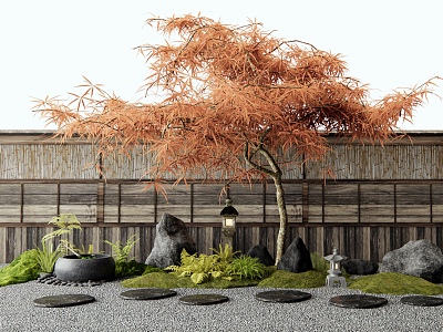 Japanese-style feather maple red maple tree landscape tree courtyard landscape sketch water pot tingbu plant landscape stone wall 3d model