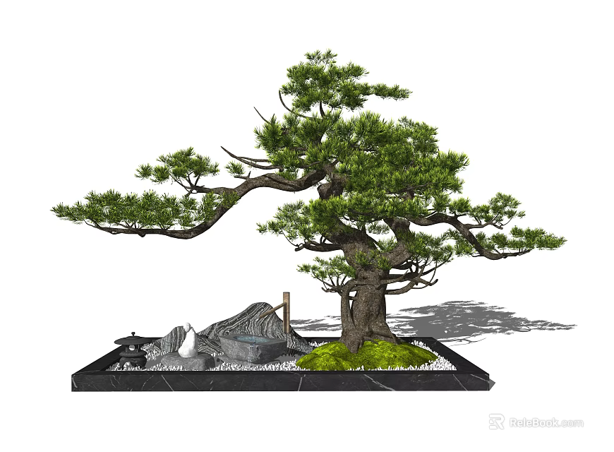 Indoor Landscape Design Featuring Bonsai Tree With Stone Elements And Green Foliage 3d model