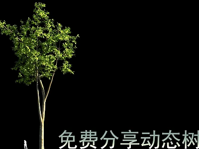 Dynamic Tree with Lush Green Foliage and Free Sharing Motion Effect 3d model