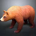 Brown Bear 3D Model With Orange And Brown Fur Standing On Dark Background