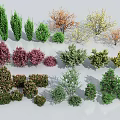 Different Types of Colorful Shrubs for Garden Landscaping and Ornamental Greenery