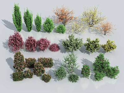 Different Types of Colorful Shrubs for Garden Landscaping and Ornamental Greenery 3d model