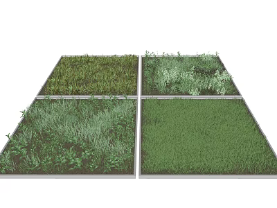 Different Green Grass And Herb Varieties In Four Square Garden Sections 3d model