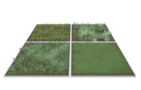 Modern Lawn 3d model
