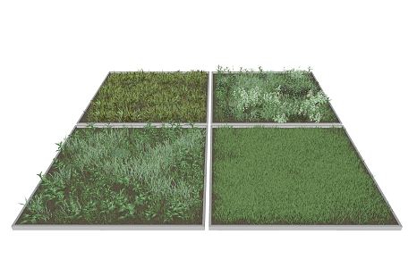 Modern Lawn 3d model