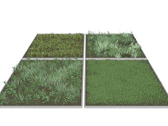 Modern Lawn 3d model