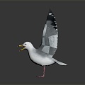 Modern seagull tooth color seagull carrier pigeon food pigeon 3d model